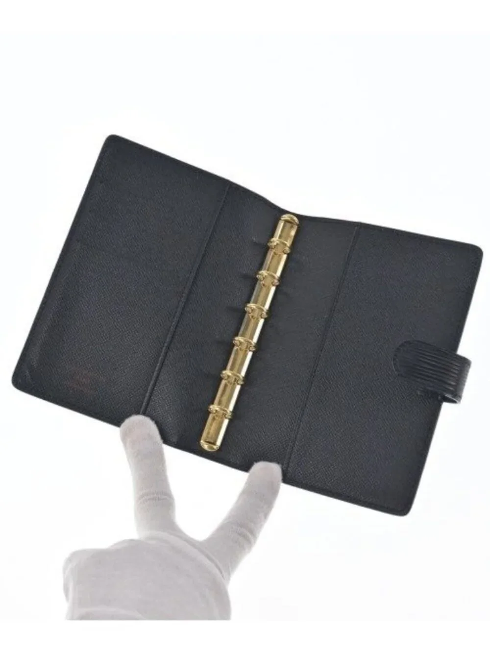 Louis Vuitton brand louis